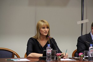 Выступление эксперта Светланы Журовой Выступление эксперта Светланы Журовой
